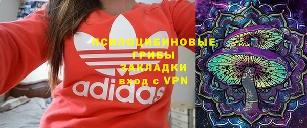 ешки Алексеевка