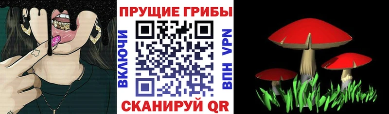 hydra маркетплейс  сайты даркнета наркотические препараты  Галлюциногенные грибы Psilocybine cubensis  Славск 
